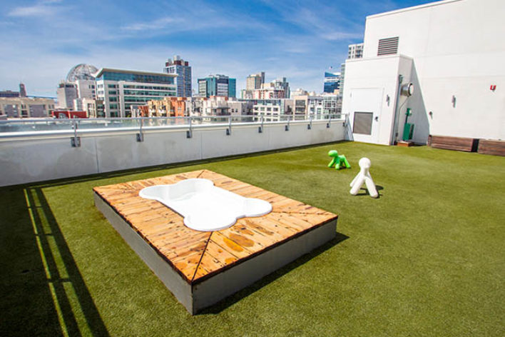 SYNLawn Fiji artificial grass for Roof top applications